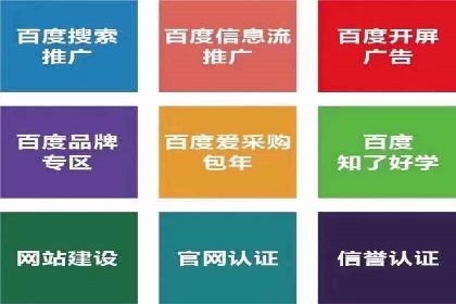 SEM投放策略优化案例分析